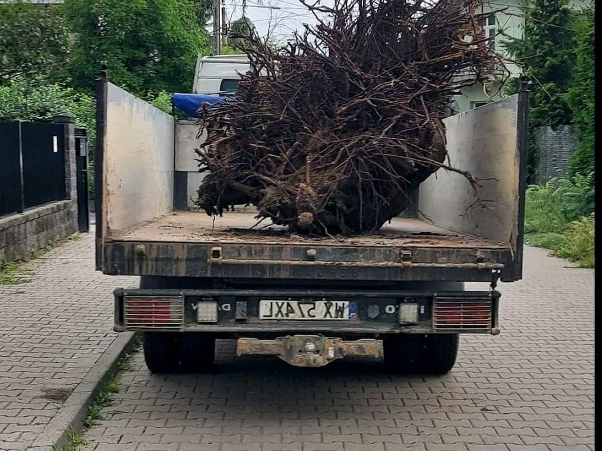 Defrisari in Mures