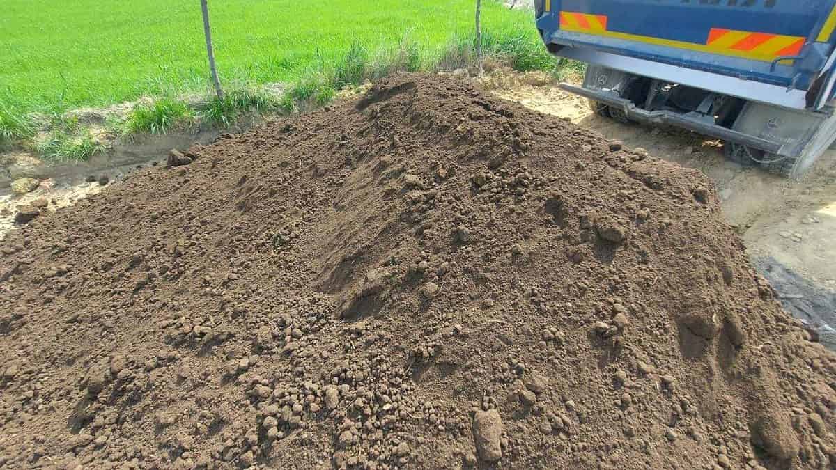 Transport pamant Mures pentru sapaturi, umpluturi si nivelare teren - imagine lucrare 2